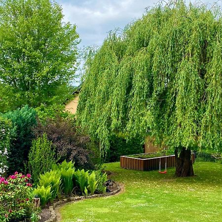 Gueneitzblick Apartment Clenze Екстериор снимка