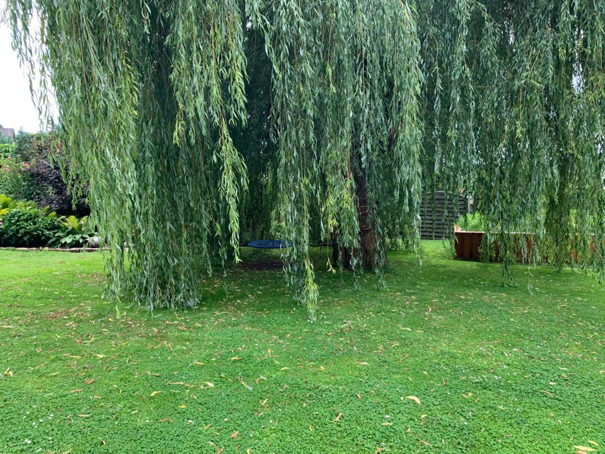 Gueneitzblick Apartment Clenze Екстериор снимка